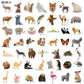 10/30/50PCS Cartoon Zoo Wild Animals Stickers Kawaii Dog Pig DIY Kids Toys Phone Skateboard Laptop Decals Graffiti Sticker F5