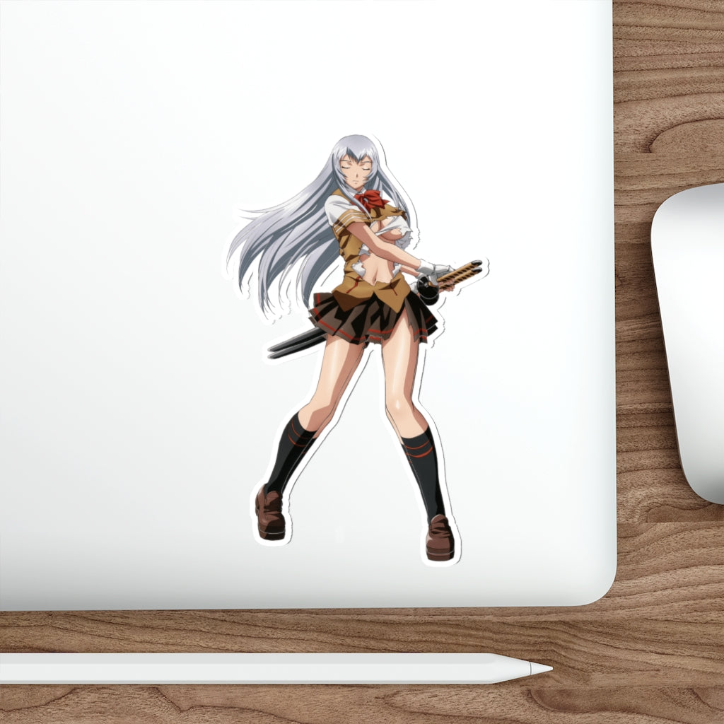 Ikkitousen Sexy Clothes Shiryuu Waterproof Sticker - Ecchi Vinyl Decal