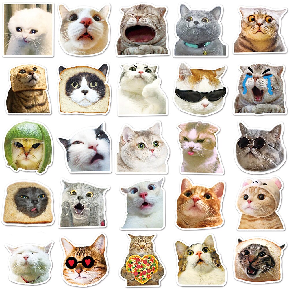 10/30/50pcs Funny Animal Cat MEME Stickers for Kids Cartoon Decals DIY Phone Case Laptop Luggage Kawaii Joke Sticker Wholesale