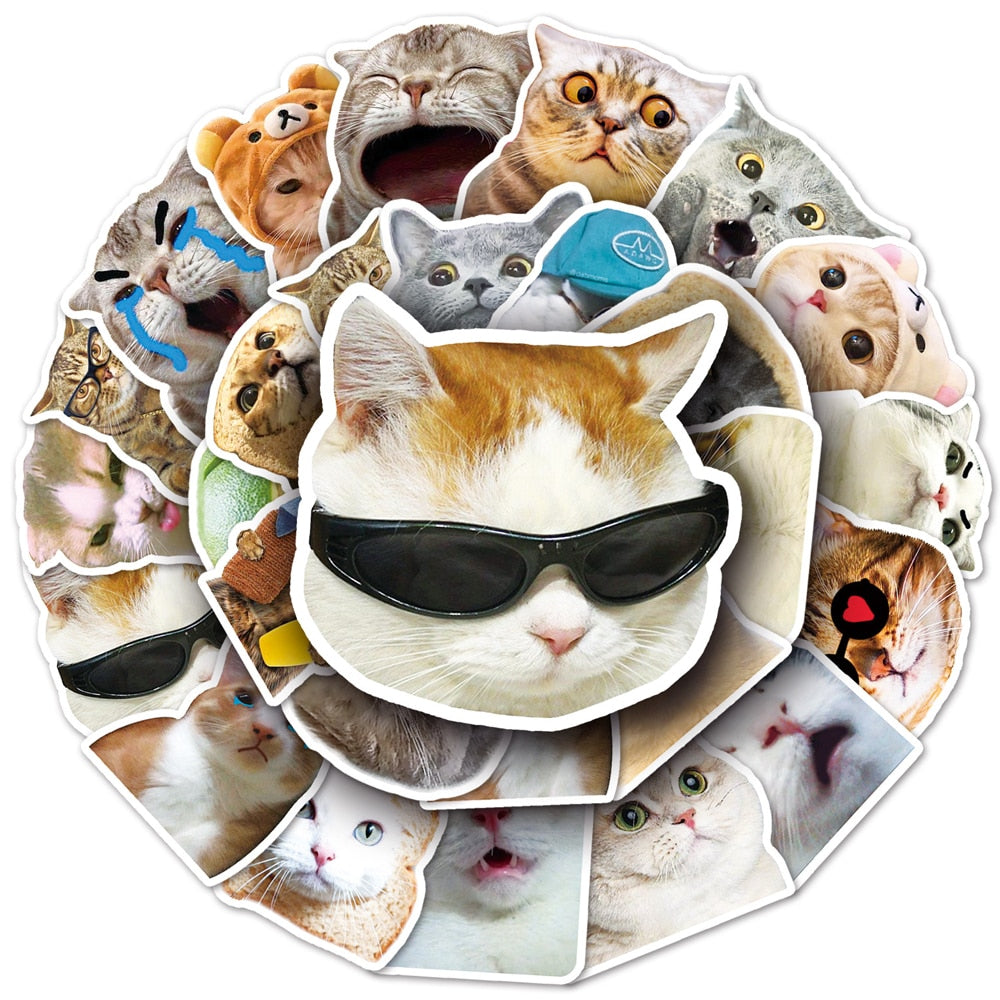 10/30/50pcs Funny Animal Cat MEME Stickers for Kids Cartoon Decals DIY Phone Case Laptop Luggage Kawaii Joke Sticker Wholesale