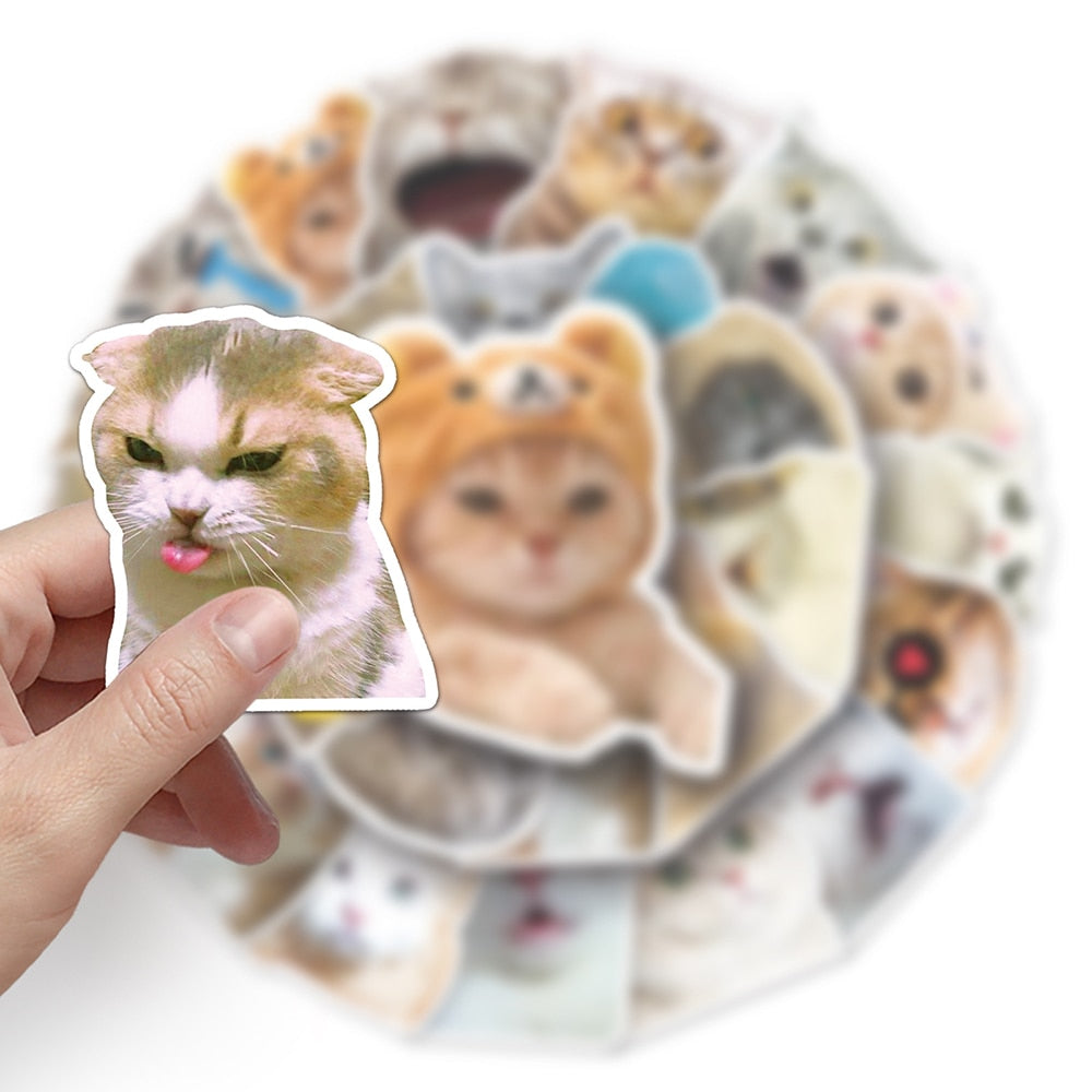 10/30/50pcs Funny Animal Cat MEME Stickers for Kids Cartoon Decals DIY Phone Case Laptop Luggage Kawaii Joke Sticker Wholesale